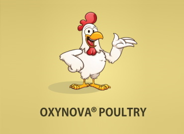Sanches Química - OxyNova Poultry